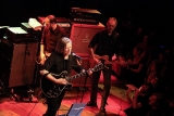 Swans