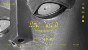 Tiché noci II
