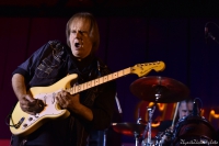Walter Trout, Olomouc, 15.7.2016