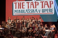 The Tap Tap 